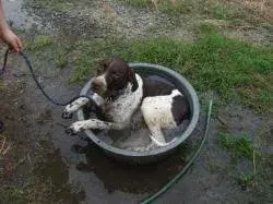 たらいで行水楽しいな！