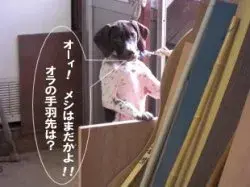 はらへったー！