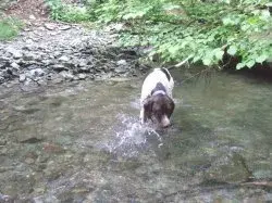 夏の避暑地